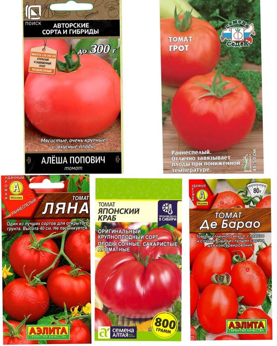 Рассада томаты помидоры Бензострой
