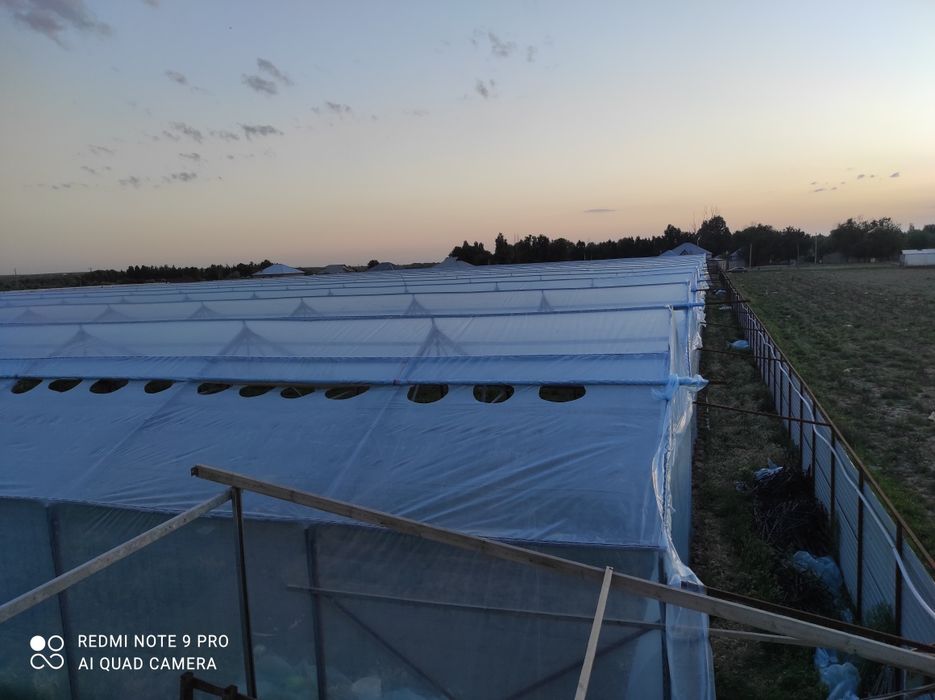 Жылыжай (теплица парник)