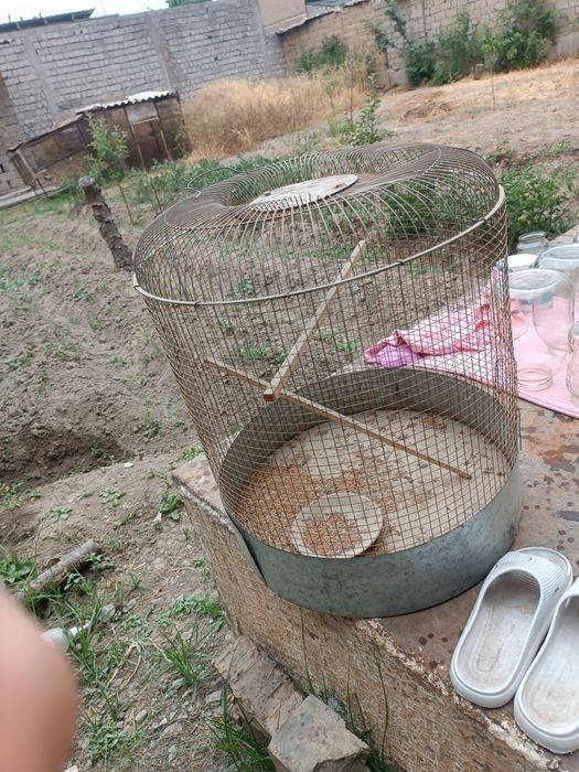 Qush qafasi sotiladi arzon