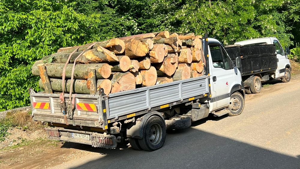 Lemne de foc centrala