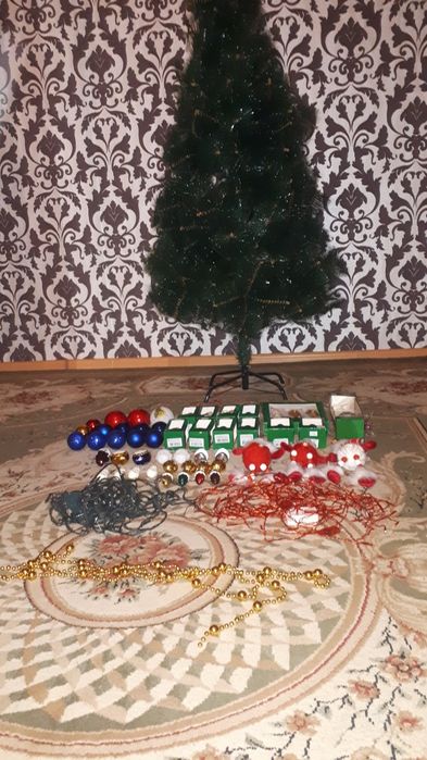 Ёлка жағдайы жақсы