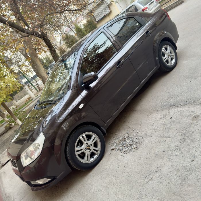 Некса3 Чоко холати тину