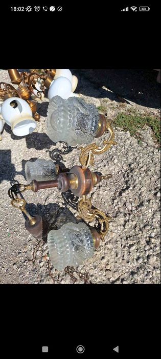 Полилей - 4 вида