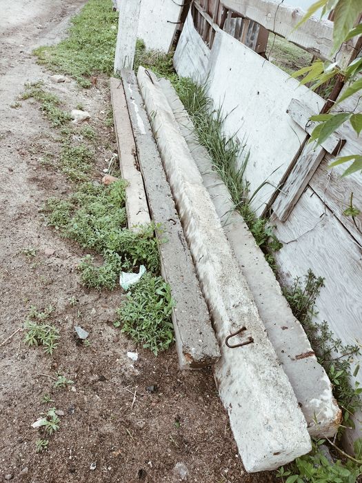 Эл пасанка сатамын