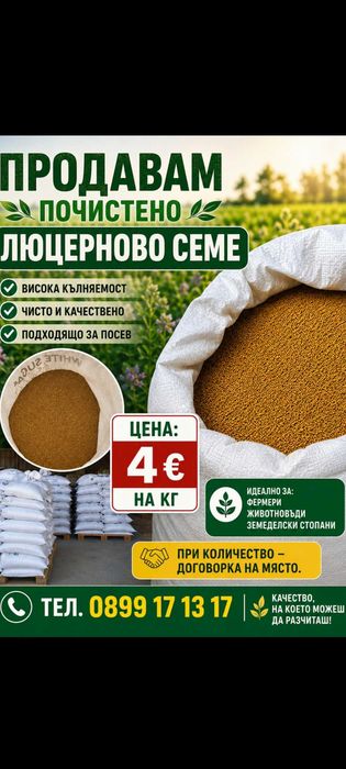 Продавом люцернжво семе