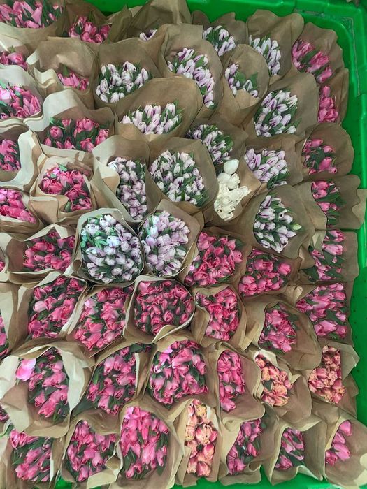 Тюльпаны Оптом Астана