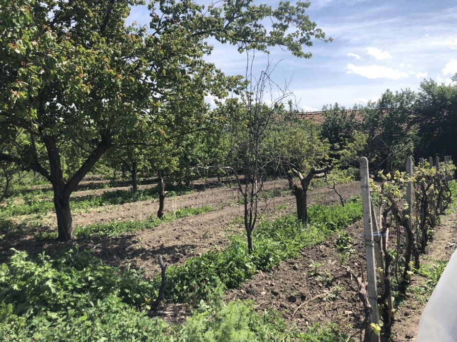 Продава се Промишлена сграда в с. Хаджиево, Област Пазарджик - 3720 кв.м за 54 €/кв.м - Снимка #6