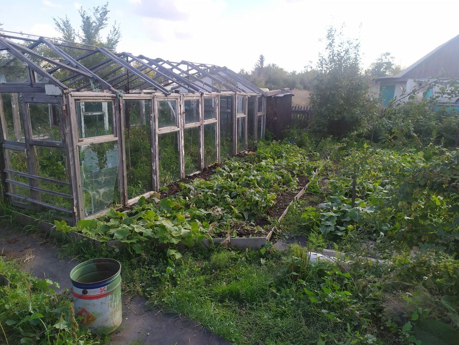 Продается Дача в ДО Оптимист