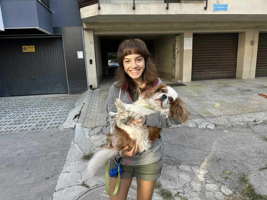 Разхождане на кучета