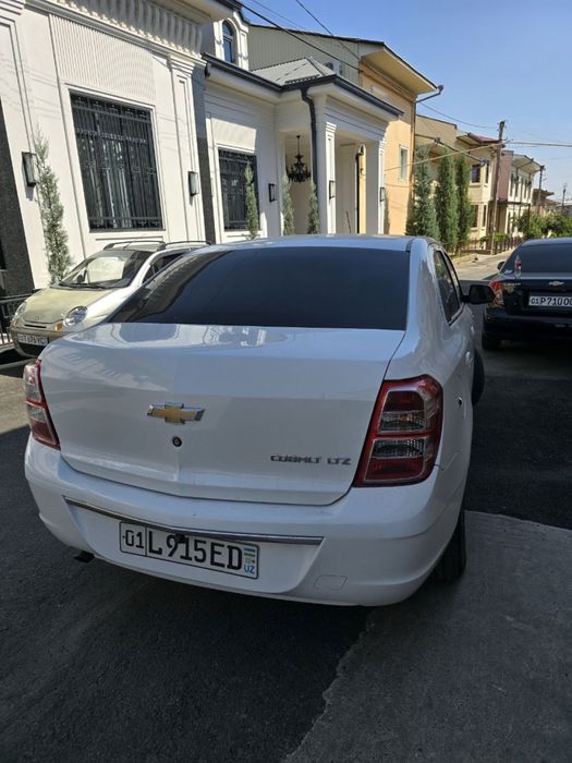 Cobalt 2023 Toza