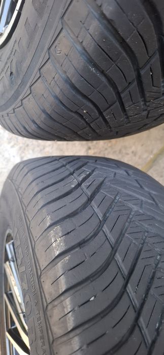 13 yangi tez va arzon