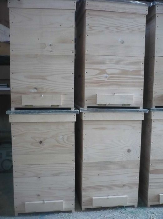 Stupi pe 12 rame 200 lei