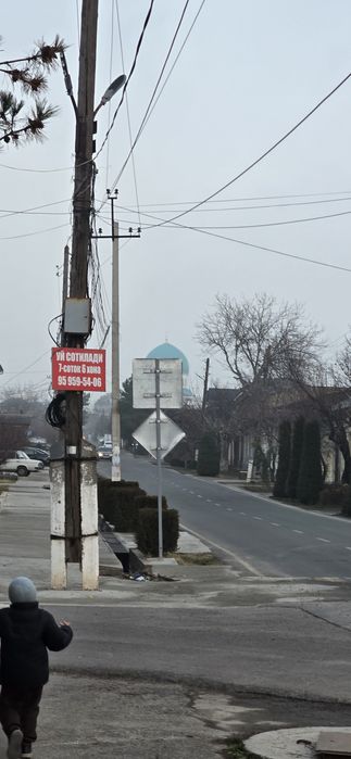 Онкоргон Кибрай Сельхоз