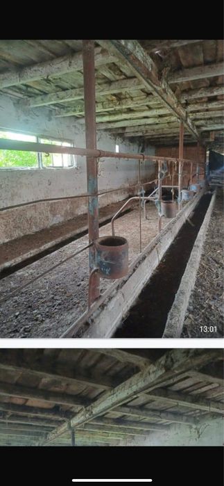 Vand/ Inchiriez ferma