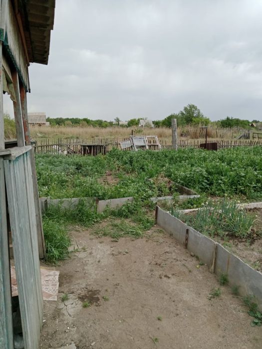 Продам дачу ПоК Оптимист Караганда