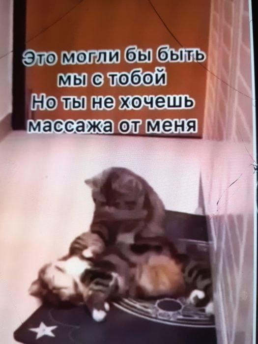 Массаж толка Выезд