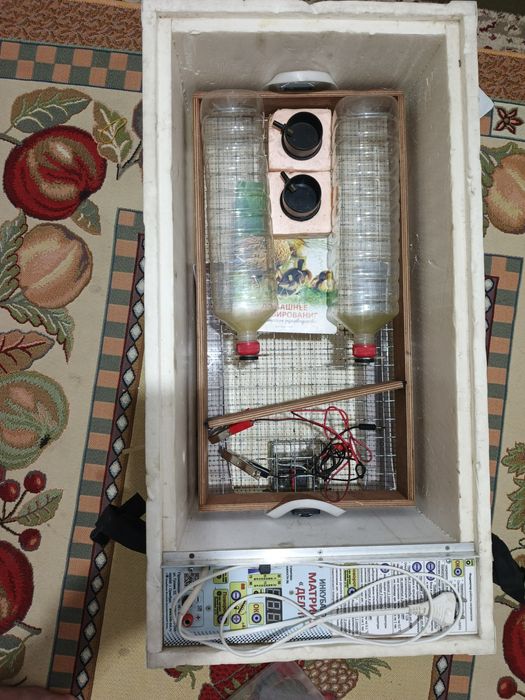 Инкубатор Матрица Дели