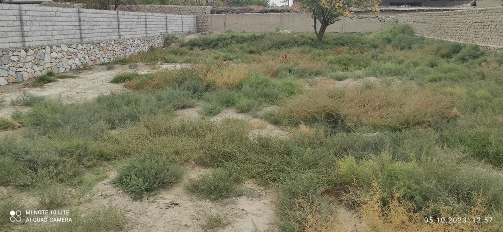 Hovli.Yer uchastka .