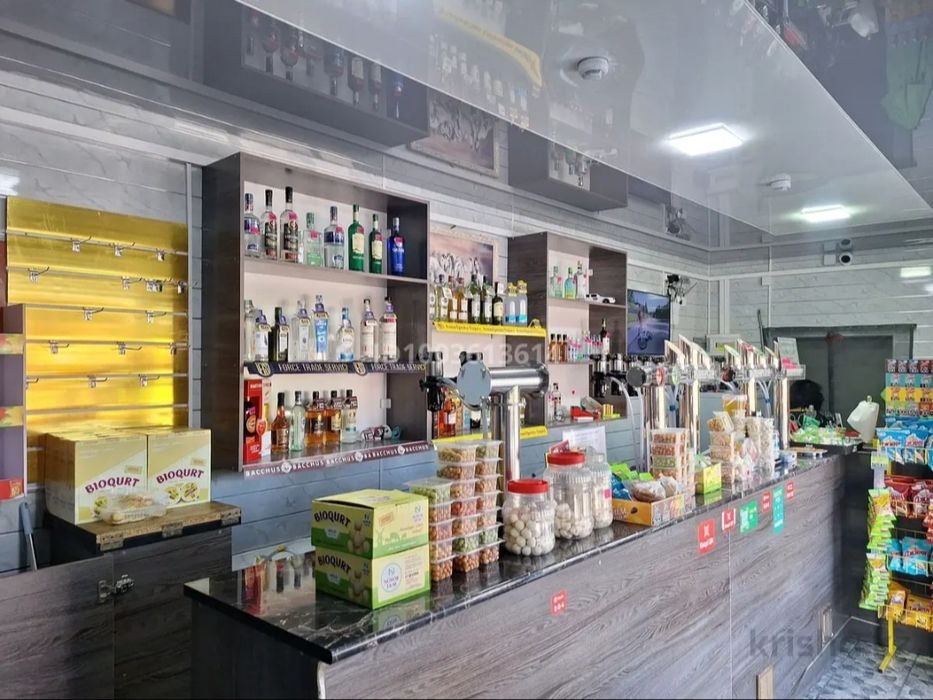 Продам дом с бизнесом