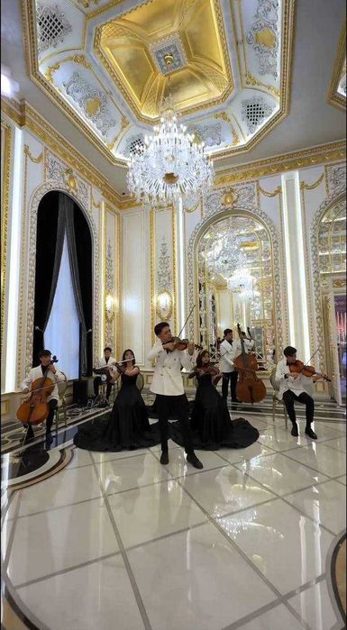 Живая инструментальная группа