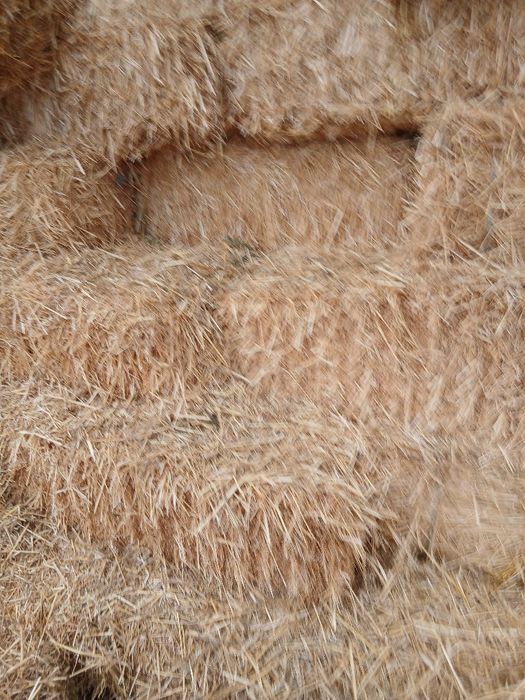 Vând baloti  de paie