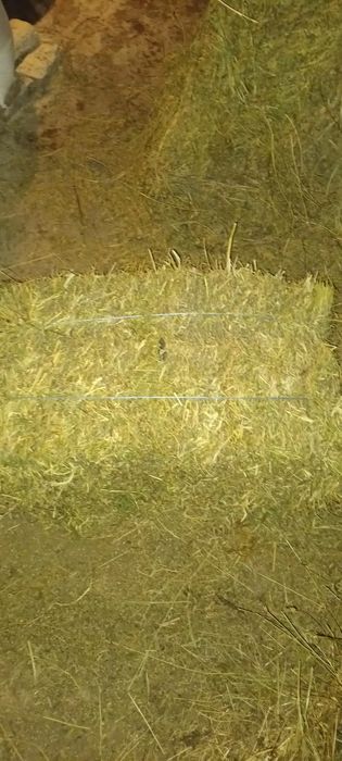 Baloți de vânzare.