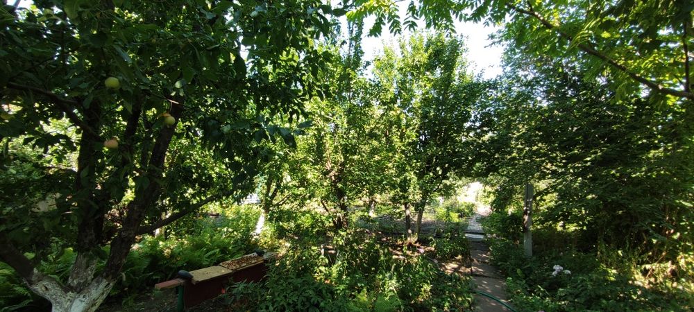 Продам Дачу в содовом обществе Восток