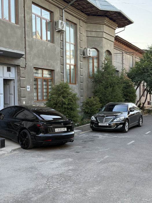 Genesis 3.8 Atmo V6 Mator Luxury Korean Car
