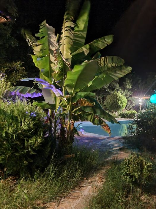 Продава се Къща в с. Ефрем, Област Хасково - 170 кв.м за 677 €/кв.м - Снимка #19