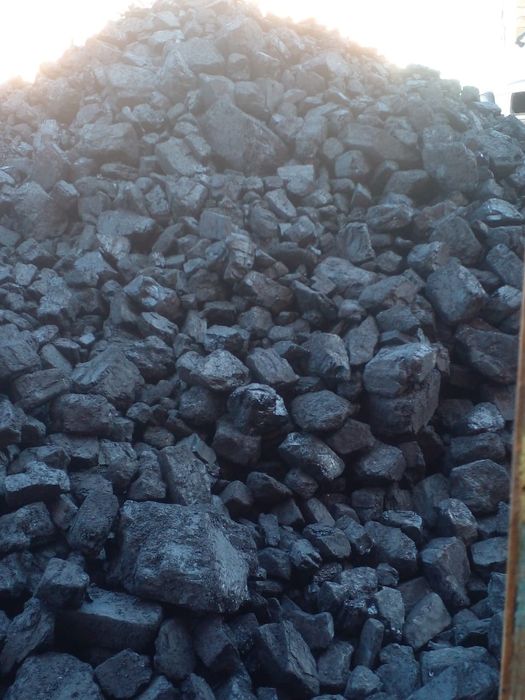Уголь и Дрова в мешках . Доставка есть .