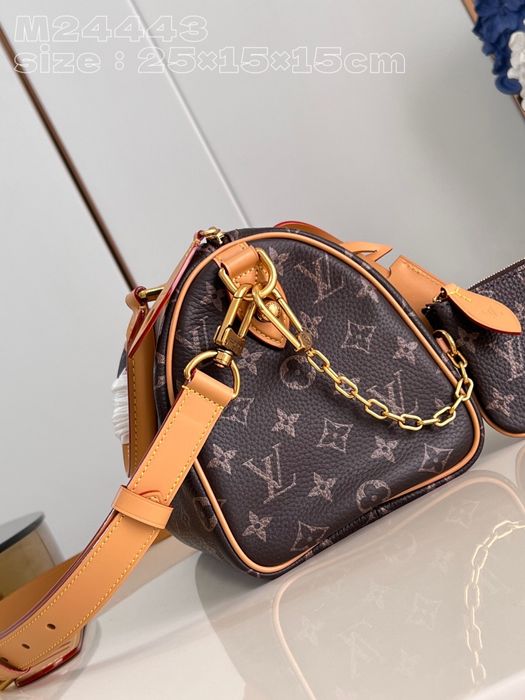 Geanta Louis Vuitton Speedy 25cm, tip Premium