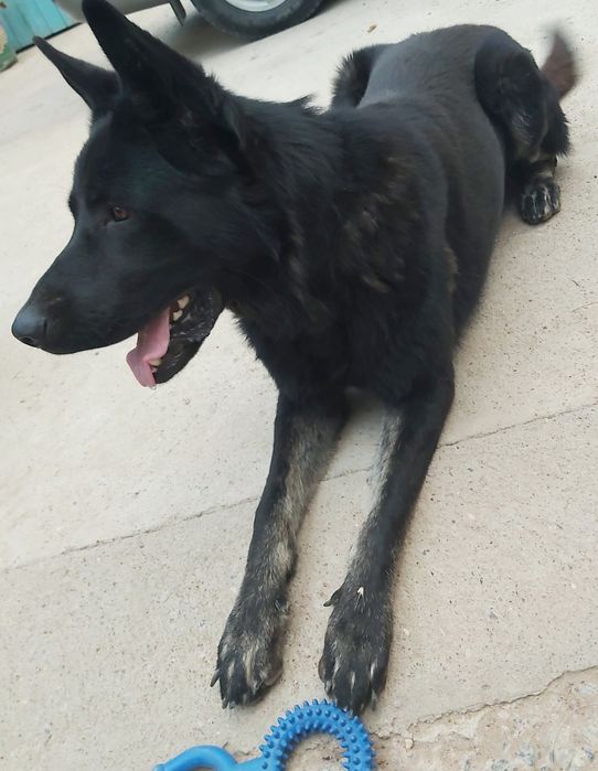 Кабель ВЕО вязка