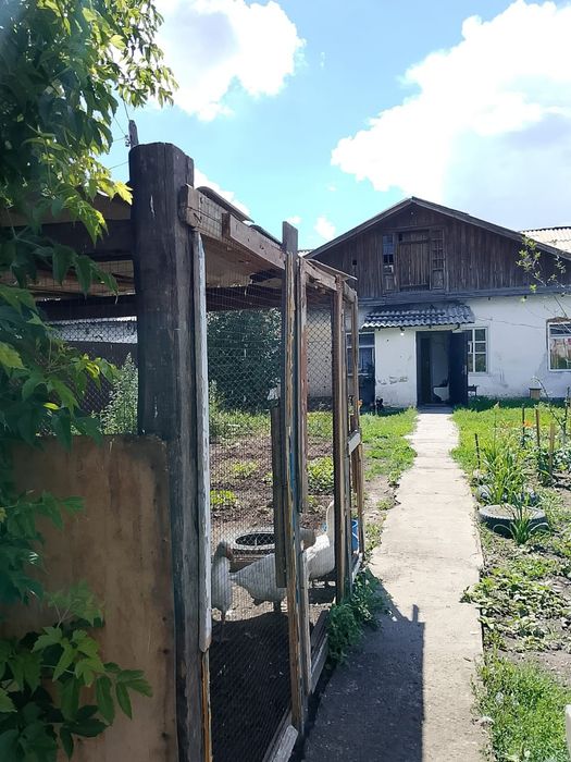 Дом барачного типа