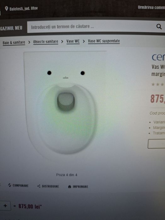 Set vas wc incastrat cersanit