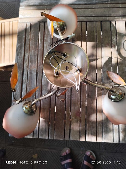 Полилей - тройка