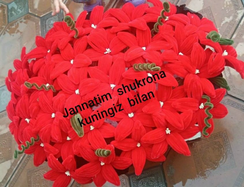TABRIK  GULLARI  dekarativ gullar