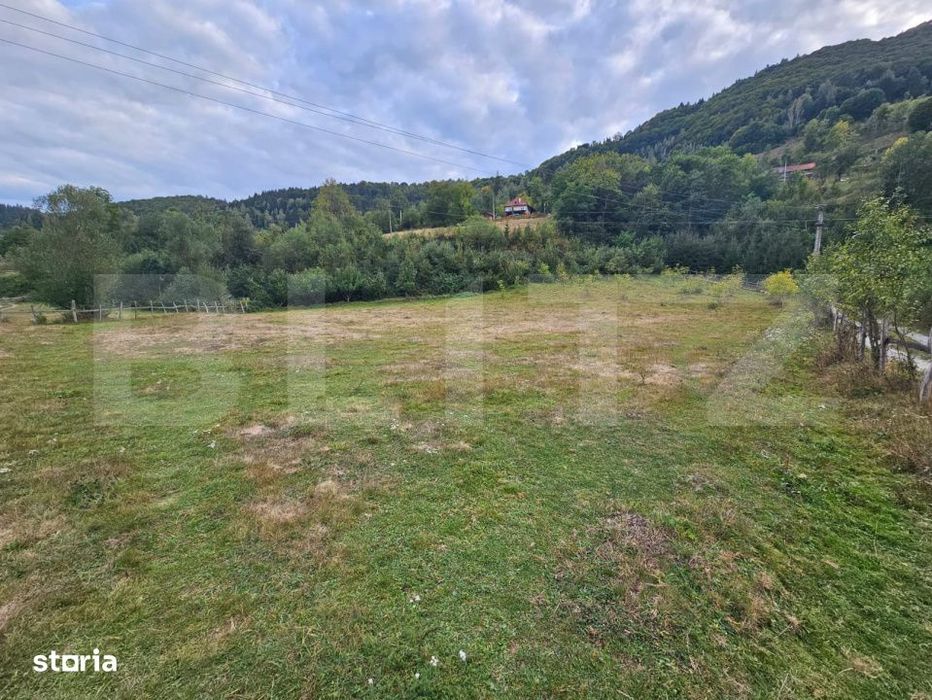 Teren intravilan 7.467 mp, langa padure si rau – Ponorel