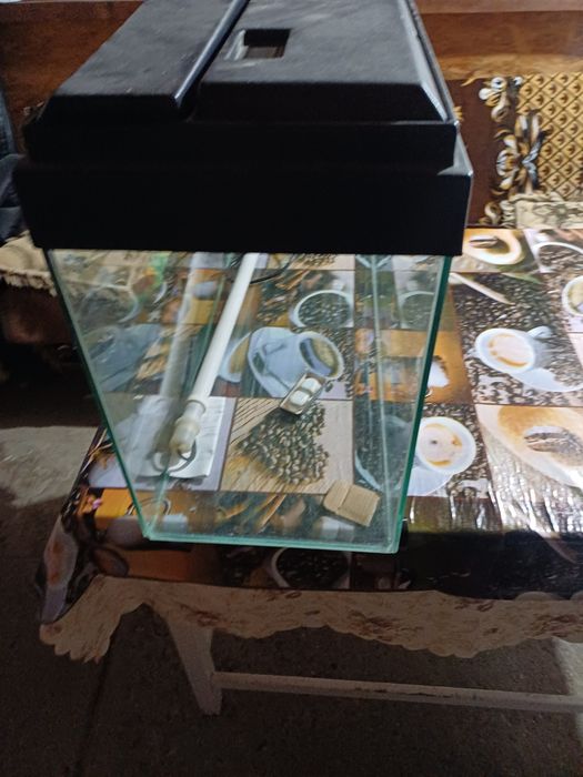 Acvariu 100 L   cu capac   si neon