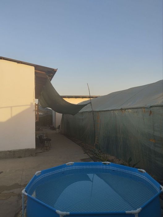 Уй сотилади теплицаси билан