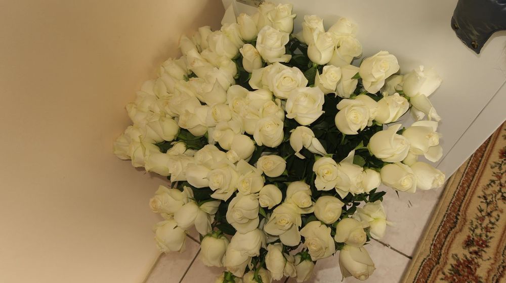 101 белые розыыы