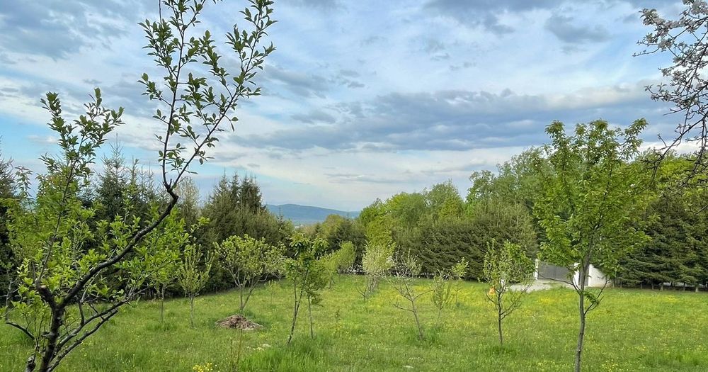 Vând teren intravilan sau schimb cu apartament in Sighet sau Baia Mare+diferenta din partea mea