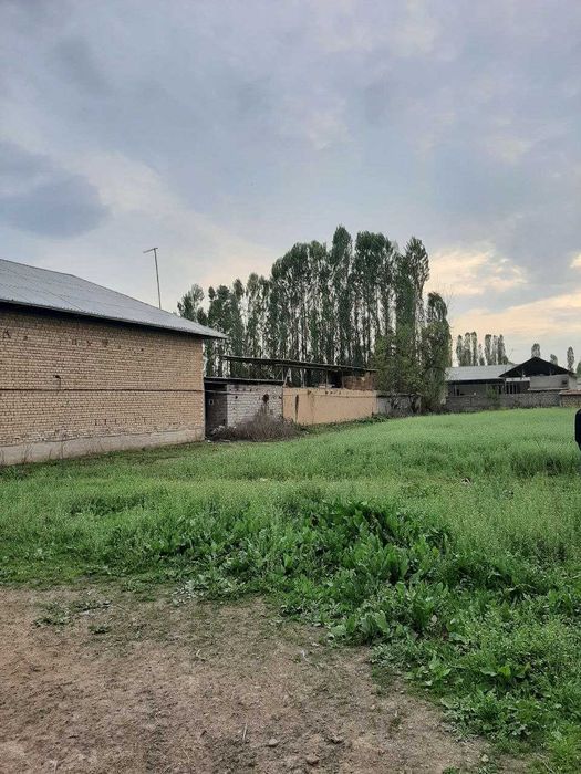 Ховли сотилади туйтепа корасув