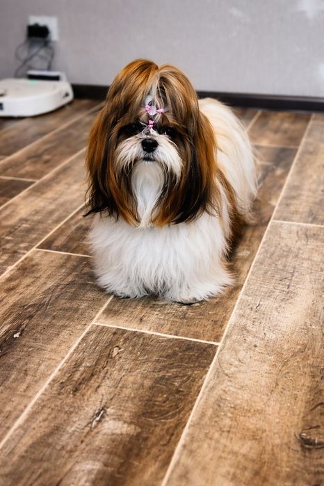 Отличный лайфхак  для сплочение семьи