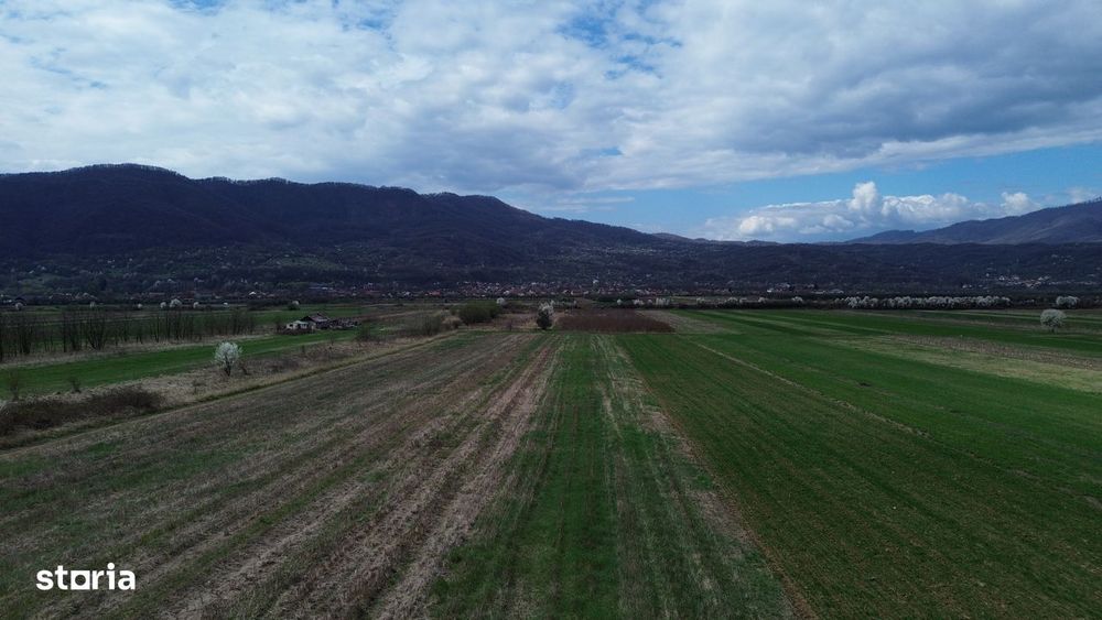 Teren / Jiblea Noua / Calimanesti /