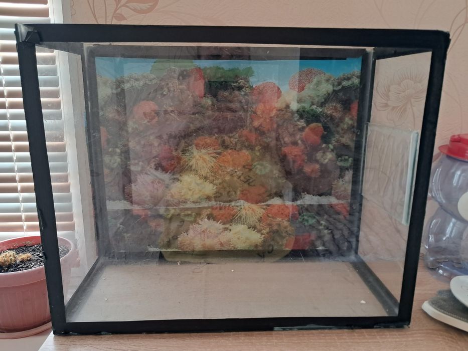 Аквариум для рыбок