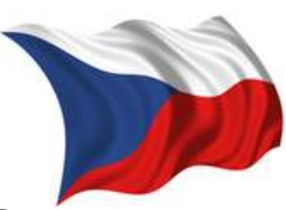 Чешский язык для учебы в вузе и работе в Чехии