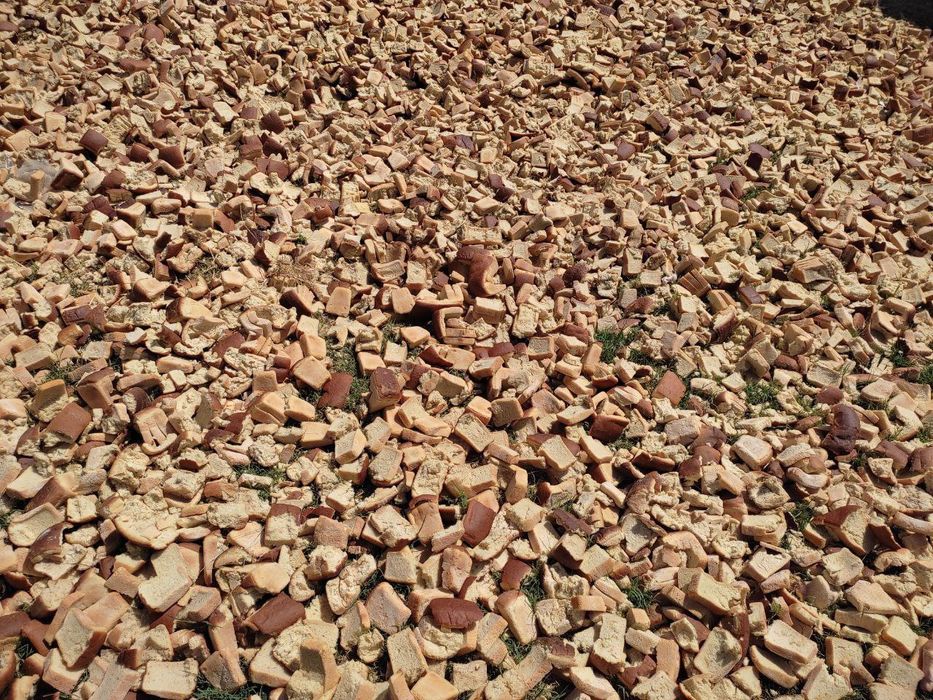 Molga buxanka non bor