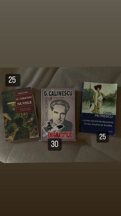 Carti din carturesti si culegeri de bac