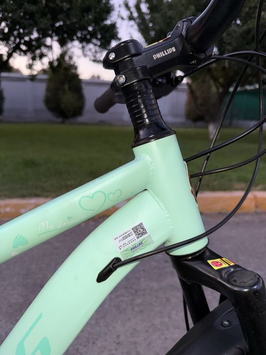 Велосипед Phillips 24 размер