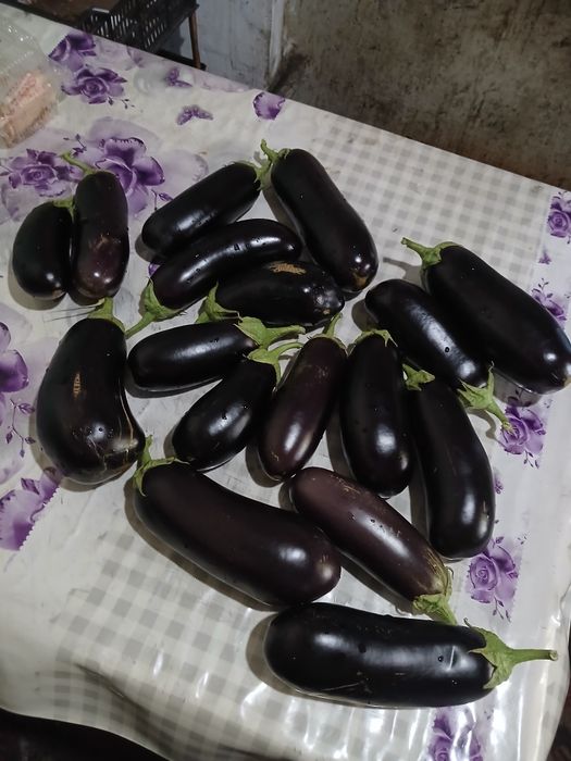 Продам баклажаны